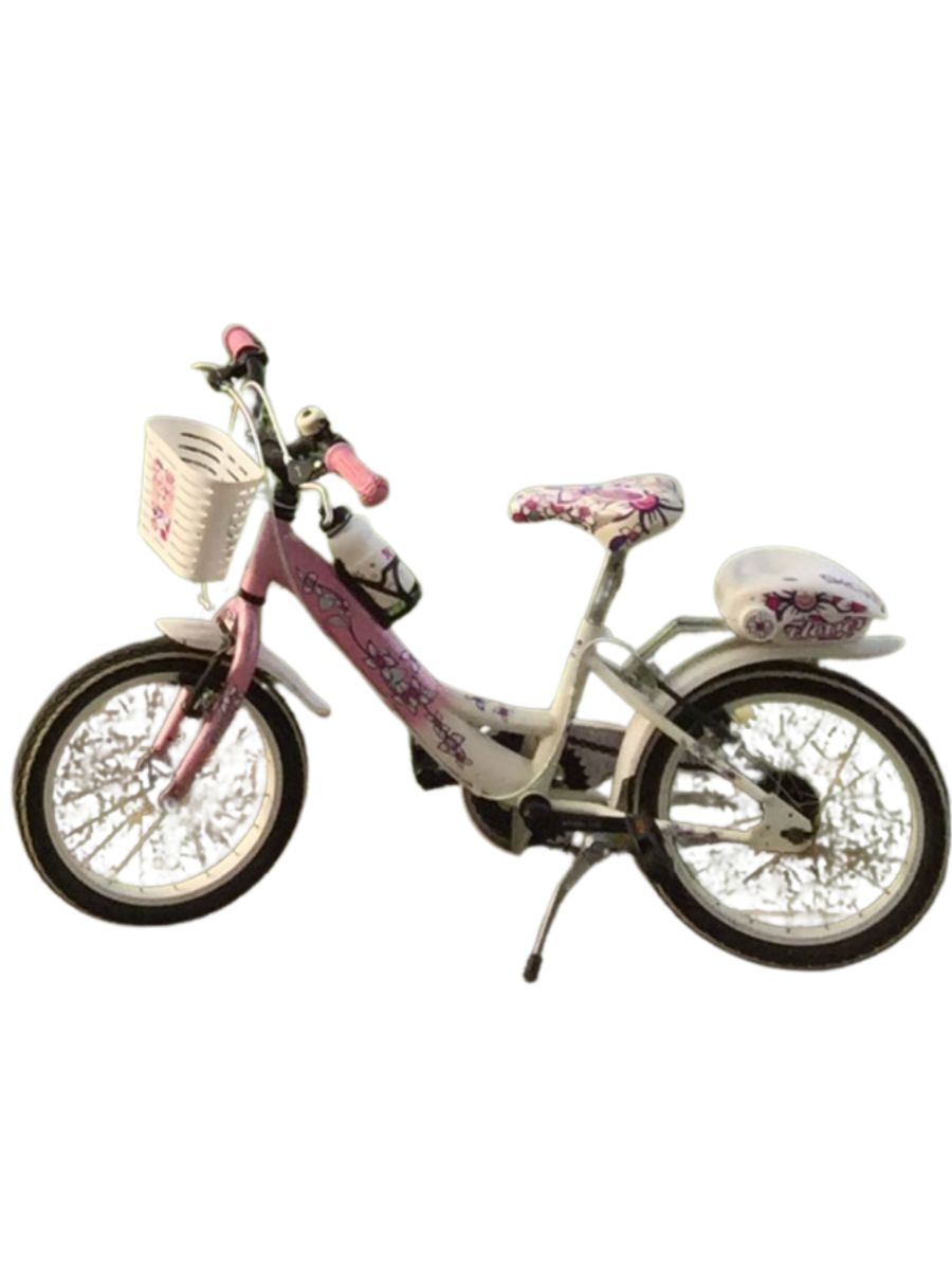 Bicicletta Bimba